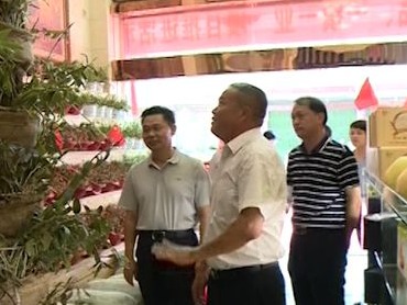 传出喜讯！兴宁“一村一品、一镇一业”建设更进一步