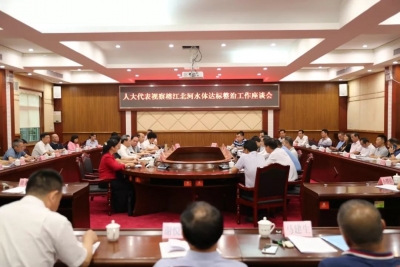 护好“母亲河”，打造百里榕江碧道！丰顺在行动...