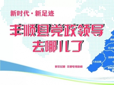 上个月，丰顺县党政领导都在忙什么？一起看看