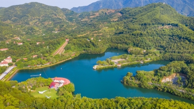 瞧这一张张靓丽“名片”...梅县区创新发展释放“镇能量”