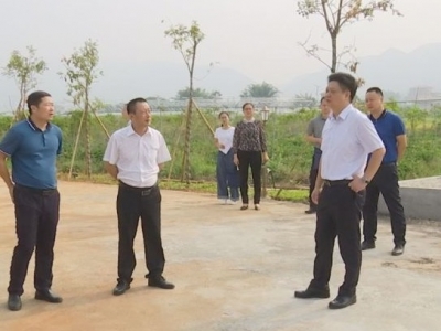 陈伟明到蕉城镇调研：坚持主题教育与推动改革发展相结合 