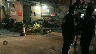 昨晚，梅城一小区男子坠楼身亡！