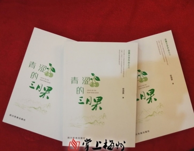 宋添贵《青涩的三月果》首发：展现“50后”一代人的“家国情”