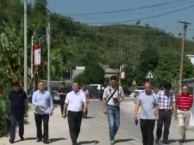 谭伟文一行大埔开展精准扶贫调研工作