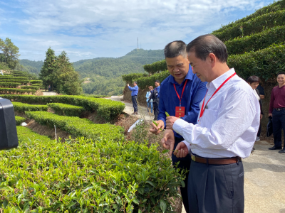 陈建青到五华开展重点提案督办调研活动