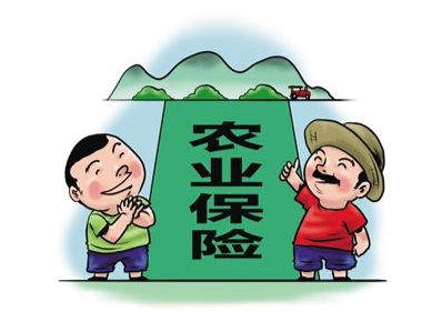 为农业发展保驾护航！今年1-9月梅州农保保费收入逾亿元