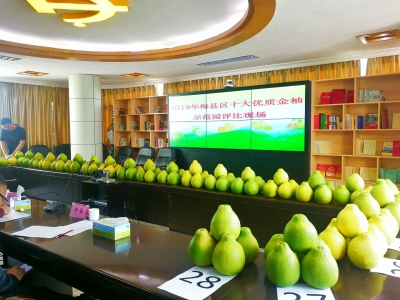 别错过！今年梅县这十个柚园的柚子最好吃