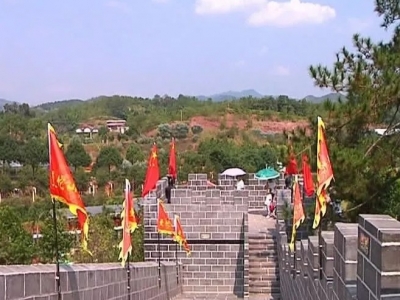  “林”“游”结合，长田油茶开辟生态致富新道路