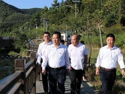 朱国城到西阳镇开展“不忘初心、牢记使命”主题教育专项课题调研