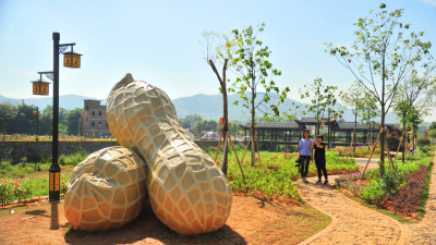 东石河畔“长”出“番豆公园”，十分“得人锡”！