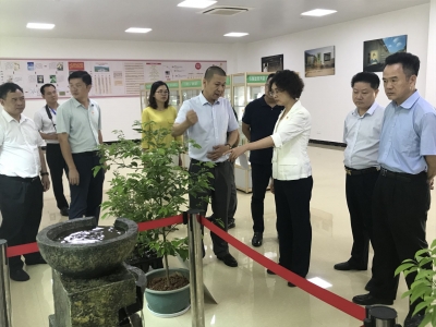 吴晓晖到平远调研：提升防灾减灾救灾能力和发展新兴产业水平