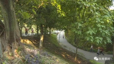 蕉岭：森林进城公园下乡  “创森”筑牢绿色屏障