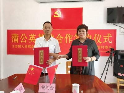 做大做强农业品牌！兴宁市夜明村将打造蒲公英基地