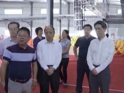 市人大常委会领导莅埔调研