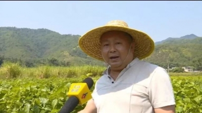 从零开始、机械化生产、帮扶脱贫...为这位梅州新农人点个赞