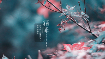 今日霜降！深秋寒凉时，相思无尽处