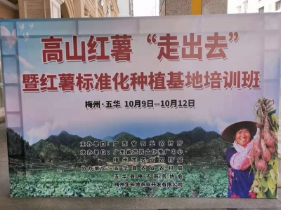 如何让高山红薯“走出去”！在五华举行的这个培训班来教您