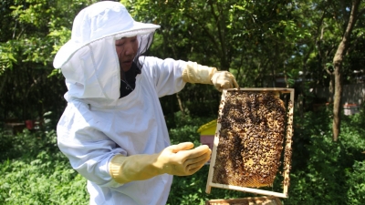 世界寿乡·富美蕉岭丨遇上蕉岭的“一瓶蜜”，是心动的感觉噢