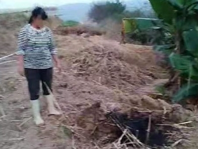 罚款！写检讨！五华通报7起近期野外违规用火处罚情况