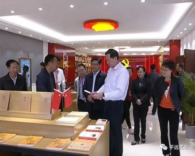 在平省市人大代表视察“精致小城·大美平远”建设工作