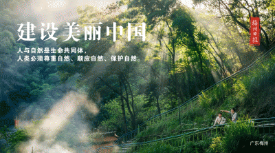 梅县区人大常委会党组召开主题教育调研成果交流会