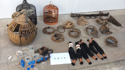 捕野鸟把自己“捕”进去了！丰顺两人涉嫌非法狩猎被刑拘 