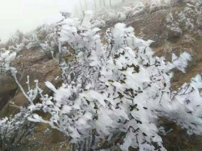 新冷空气周日中午到货！我省大部分地区降温3℃—5℃