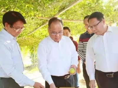 余其豹到坭陂镇调研时强调：深化主题教育成果转化，为基层群众谋福祉