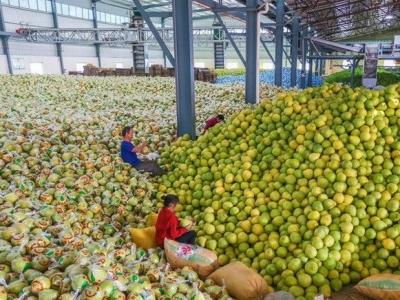 梅州召开优势产区和特色产业现代农业产业园申报专题会议 