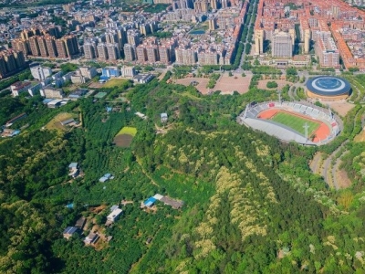 国字号生态名片！梅州两处入选全国森林康养基地试点建设单位