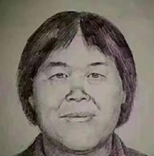 广东警方回应：“梅姨”身份与长相暂未查实