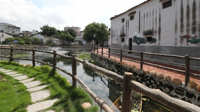 乡村颜值不断刷新！丰顺这个村美出新高度...