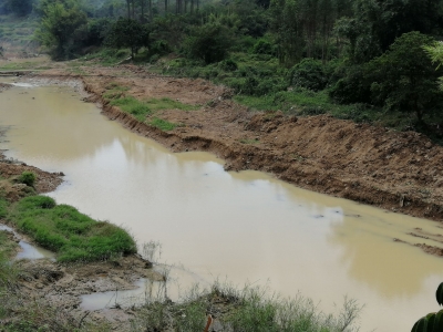 丰顺金岗村水质浑浊又暗黄？“元凶”是ta！