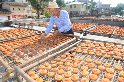 晒柿花啦，平远石正马山柿饼，甜进你心里~“拐”想吃！
