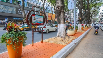 梅城街头“变形记”，杂乱灌木丛摇身一变“花景小品”~