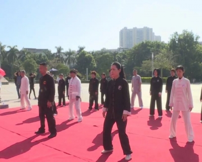 太极宗师来了！世界陈小旺太极拳总会丰顺分会揭牌