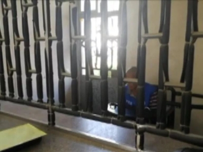 丰顺县公安局森林分局抓获7名涉嫌盗伐林木嫌疑人