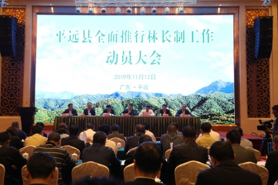 让山更绿水更清景更美！平远在全省率先实行林长制