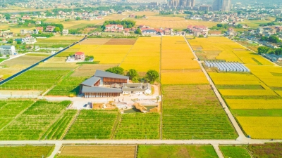 “老房子​”涅槃重生，一砖一瓦皆“乡愁”