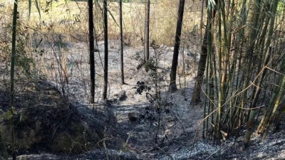 别不当一回事！五华一村民违规野外用火引发森林火警，最后...