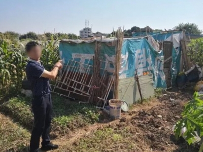 晚上偷鸡白天卖！梅城这名“黄鼠狼”栽了！