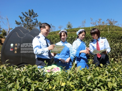 丰顺县税务局走进茶园 传递税收“好声音”
