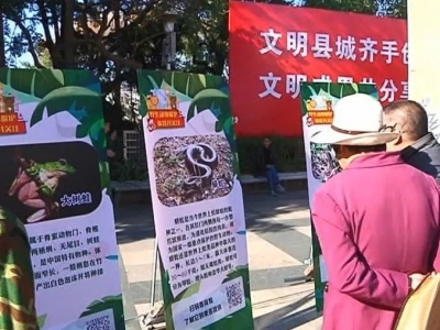 守护我们的“小精灵”！平远开展野生动物保护宣传活动