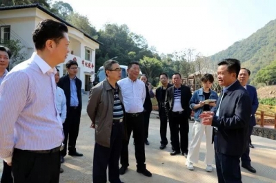 探索“生态+”“康养+”新模式，走出一条建设美丽大埔的路子！