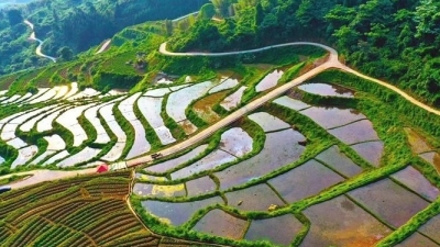 要火的节奏！央视走进大平远录制美丽乡村好风光~