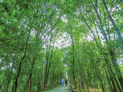 客都议事厅丨用林长制促进生态文明 