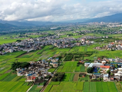 茶座丨让有志青年在乡村筑梦 