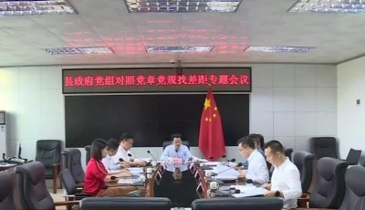 廖茂忠主持召开丰顺县政府党组主题教育对照党章党规找差距专题会议