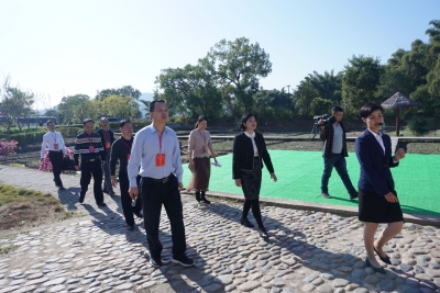 市政协部分委员到大埔考察美丽乡村建设等工作