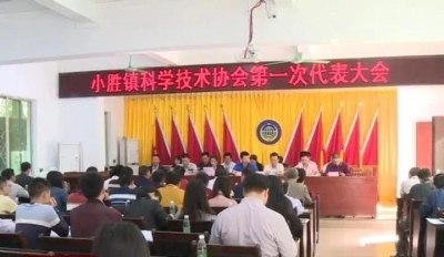 祝贺！建桥镇、小胜镇、龙岗镇科学技术协会相继成立